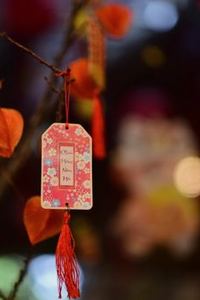 Thế giới giải trí Việt